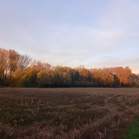Natuurschoon Vakantiewoning Moorsel Buitenkant foto