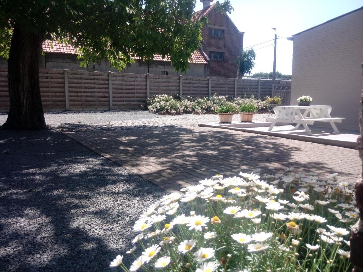 Natuurschoon Vakantiewoning Moorsel Buitenkant foto