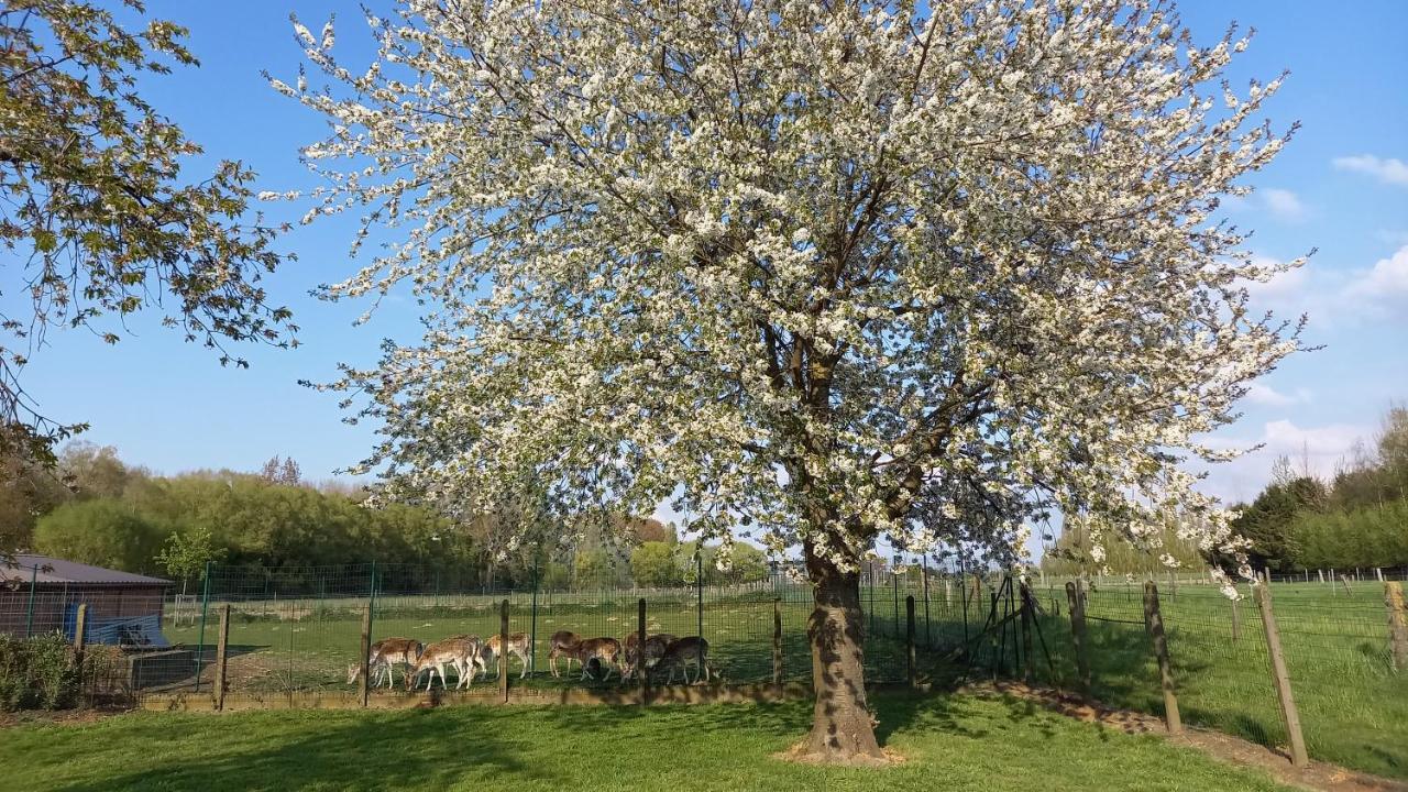 Natuurschoon Vakantiewoning Moorsel Buitenkant foto