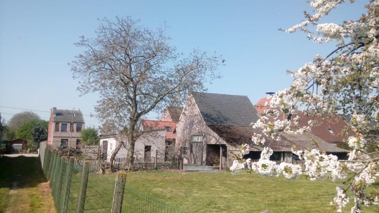 Natuurschoon Vakantiewoning Moorsel Buitenkant foto