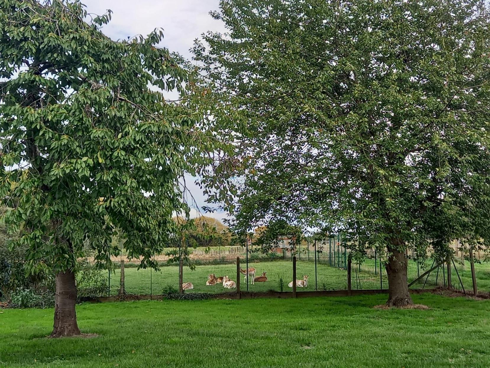Natuurschoon Vakantiewoning Moorsel Buitenkant foto
