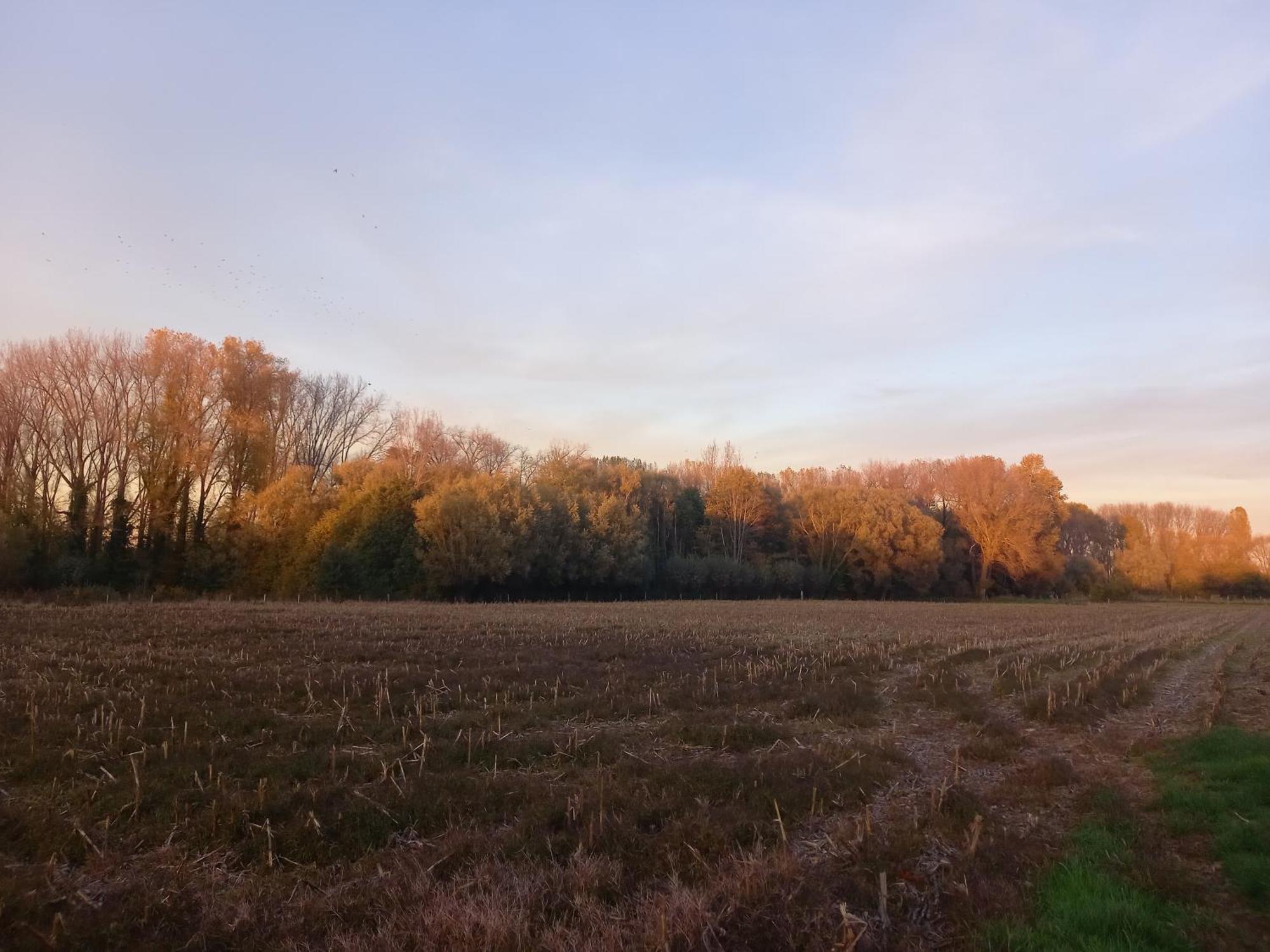 Natuurschoon Vakantiewoning Moorsel Buitenkant foto